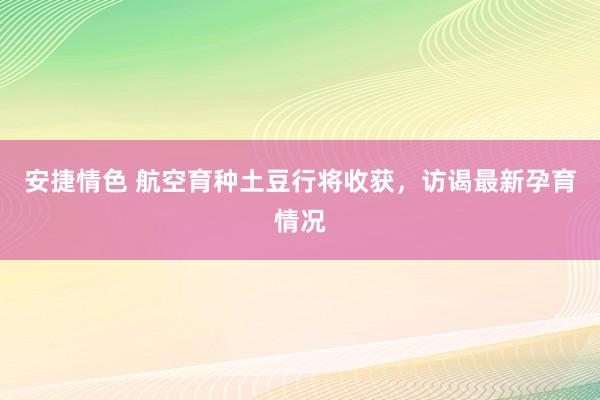 安捷情色 航空育种土豆行将收获，访谒最新孕育情况