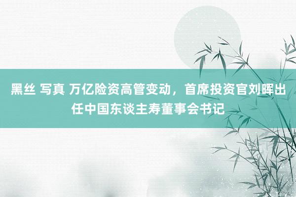 黑丝 写真 万亿险资高管变动，首席投资官刘晖出任中国东谈主寿董事会书记