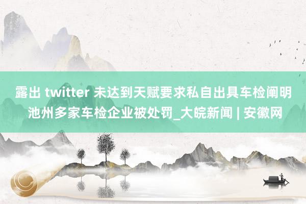 露出 twitter 未达到天赋要求私自出具车检阐明 池州多家车检企业被处罚_大皖新闻 | 安徽网