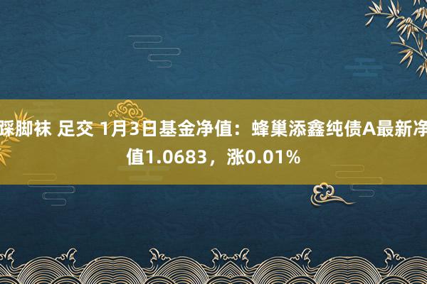 踩脚袜 足交 1月3日基金净值：蜂巢添鑫纯债A最新净值1.0683，涨0.01%