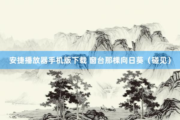 安捷播放器手机版下载 窗台那棵向日葵（碰见）