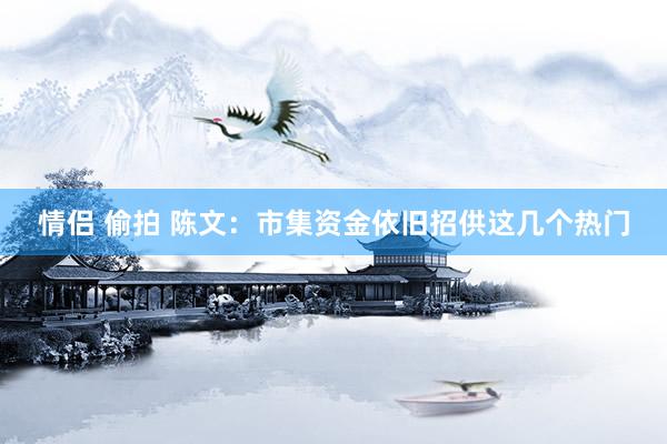 情侣 偷拍 陈文:市集资金依旧招供这几个热门